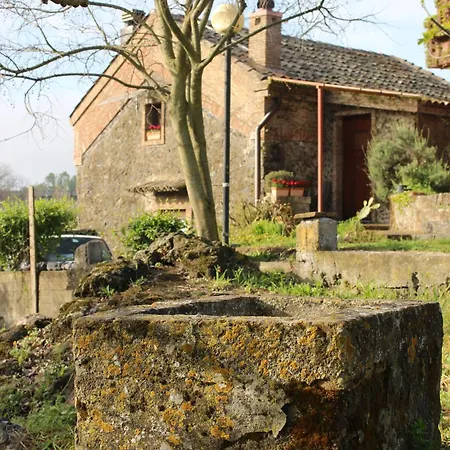 Hébergement de vacances Domus Vini *
