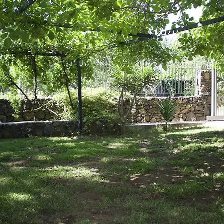 Domus Vini